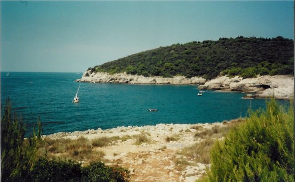 20020803_0005.jpg - click for next picture