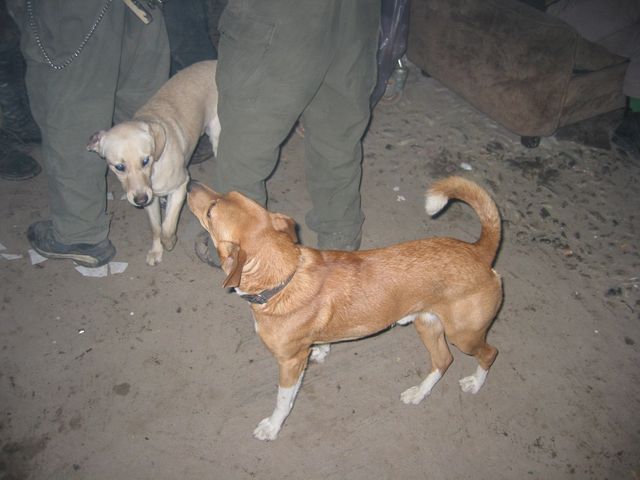 20040226_0035.jpg - click for next picture