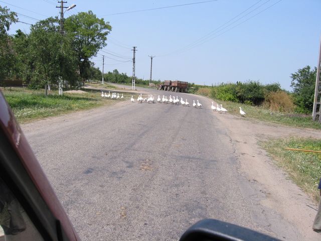 20040709_0051.jpg - click for next picture